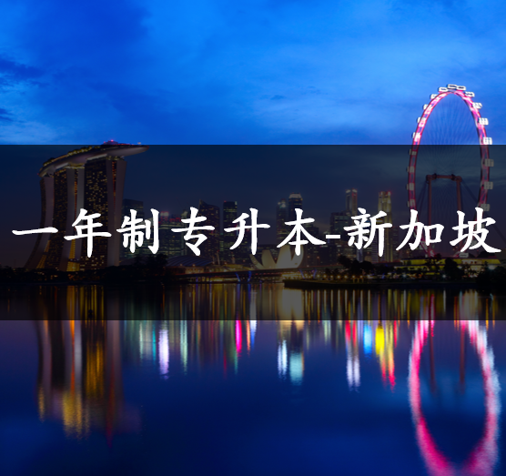 查看详情